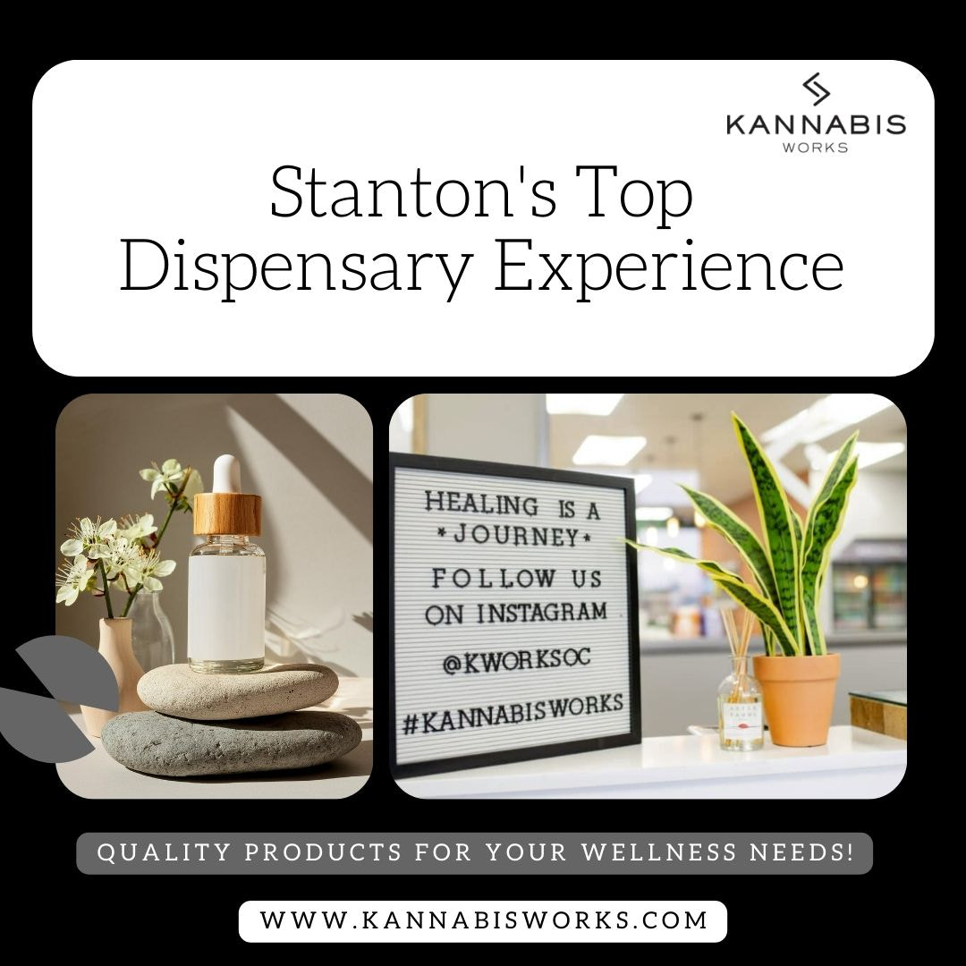Discover the Best Dispensary in Stanton – Premium Cannabis Selection & Expert Service