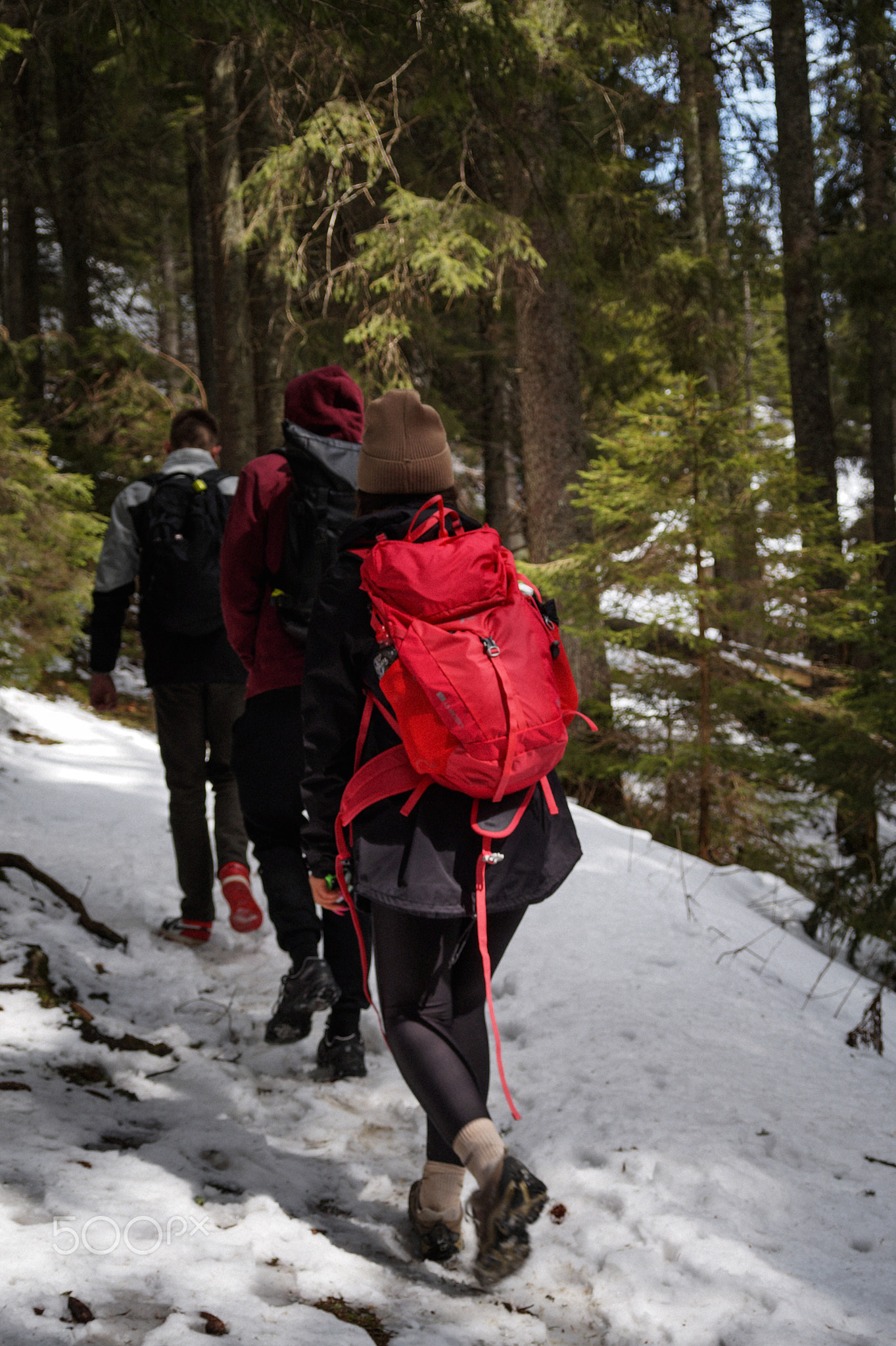 hiking girl in the mountains