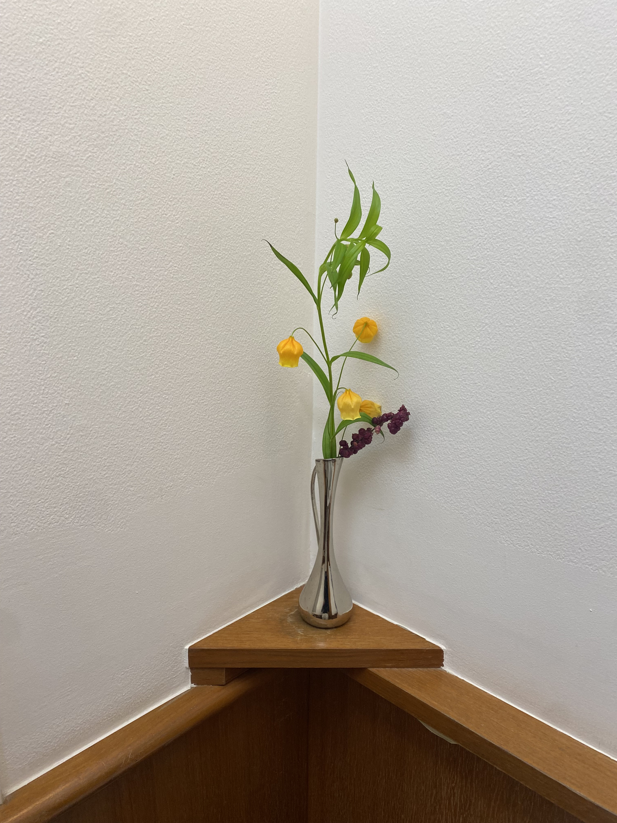 Close-up of potted plant on table against wall