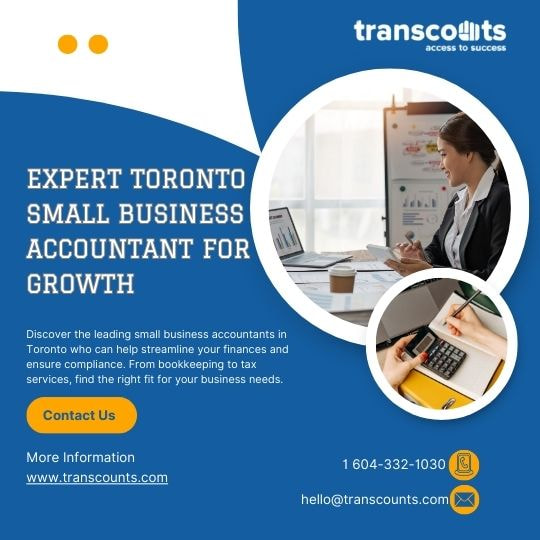 Expert Toronto Small Business Accountant for Growth
