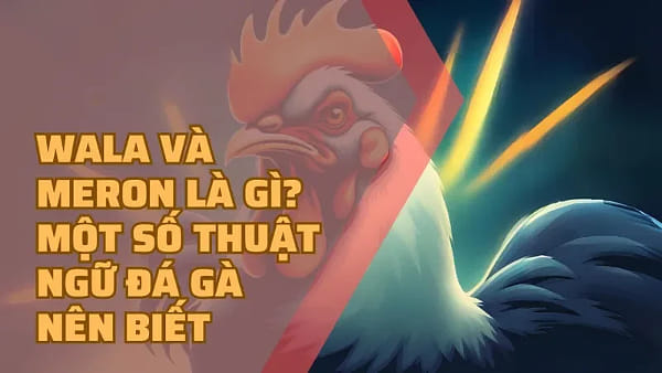 Wala la gi, Meron la gi? Tim Hieu Ca Hai Thuat Ngu Thu Vi by BetVisa ...