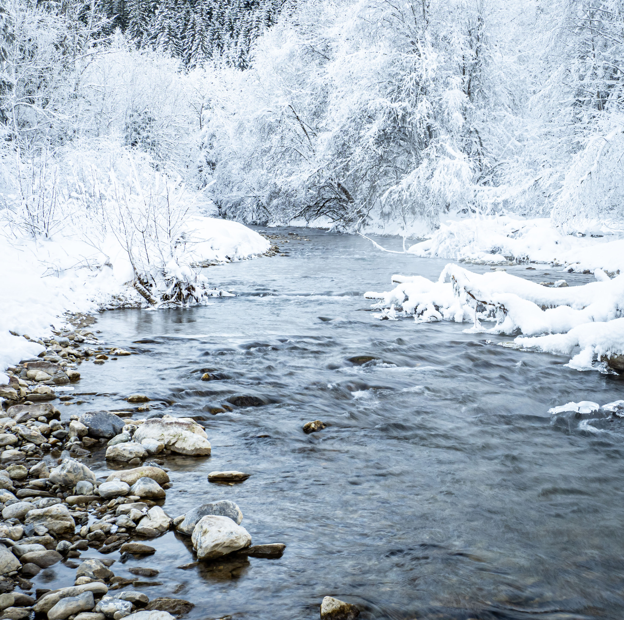 Freezing Morning
