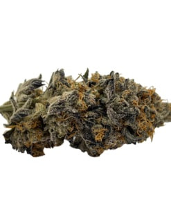 Find Your Perfect Indica Bud at TogoWeed for Ultimate Relaxation