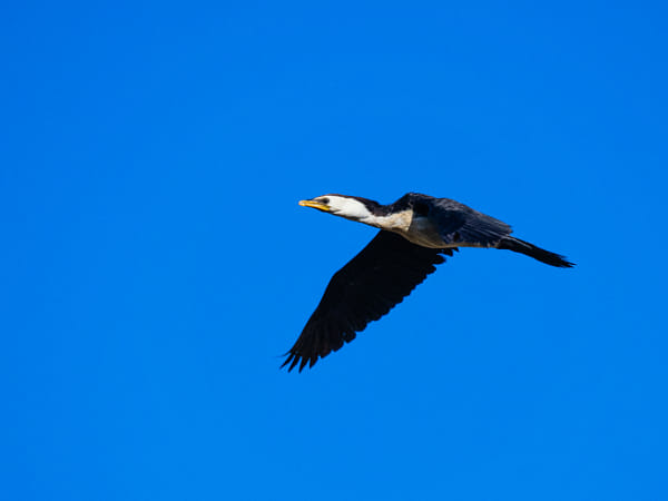 Kakak by Paul Amyes on 500px.com