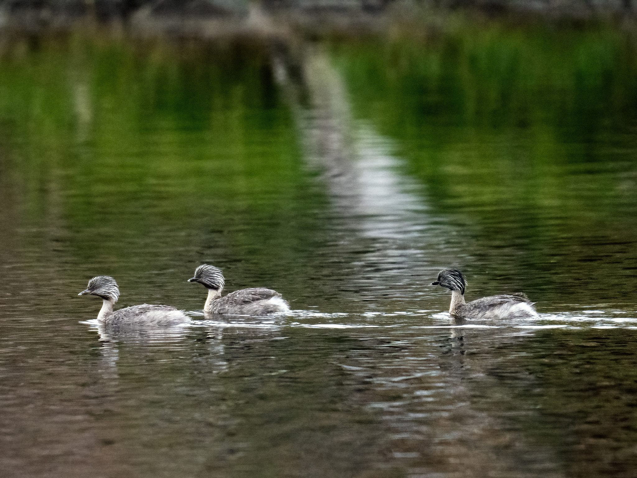 Wayooda by Paul Amyes on 500px.com