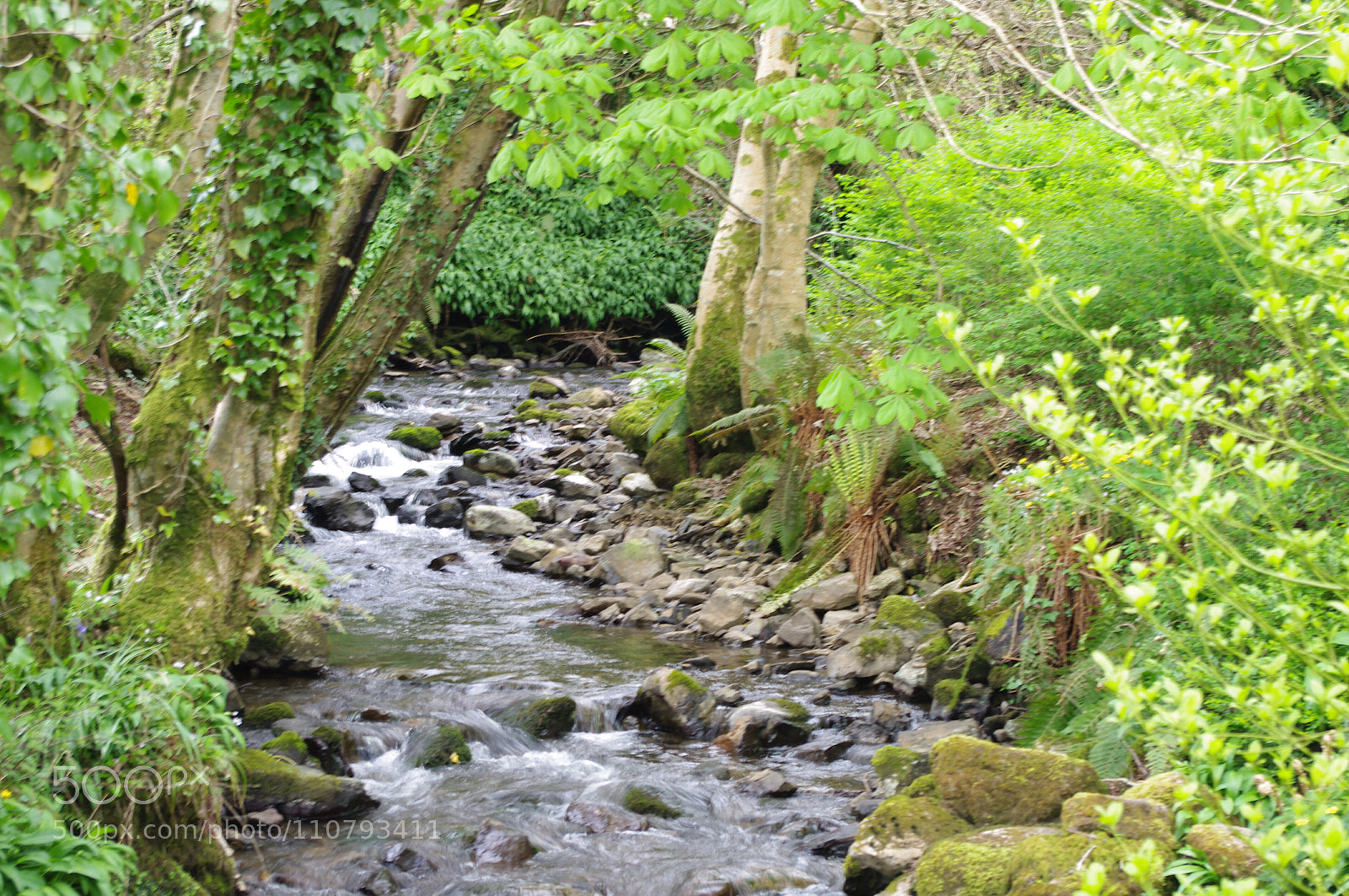 Pentax K-x sample photo. One stream from glencar photography
