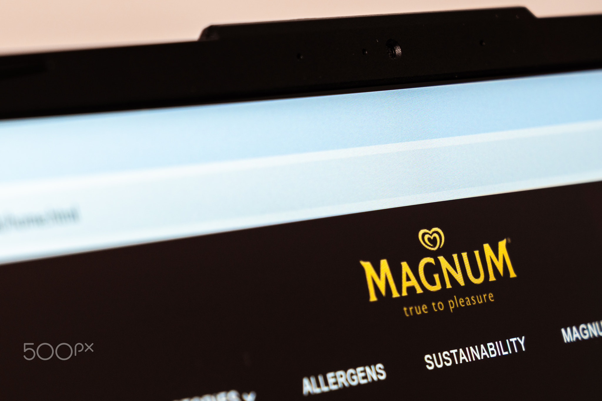 New York, USA - January 26, 2025: Magnum ice cream official website