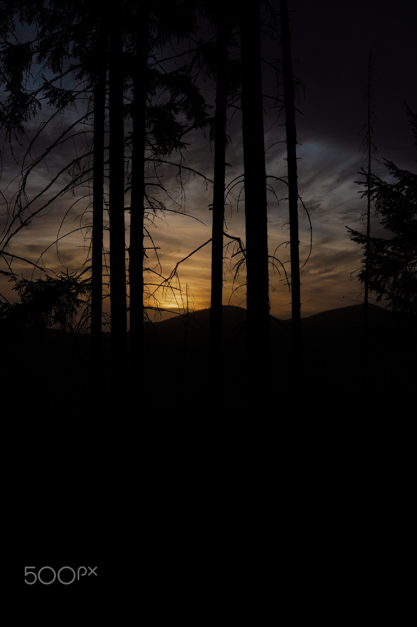 sunrise in the carpathian mountains