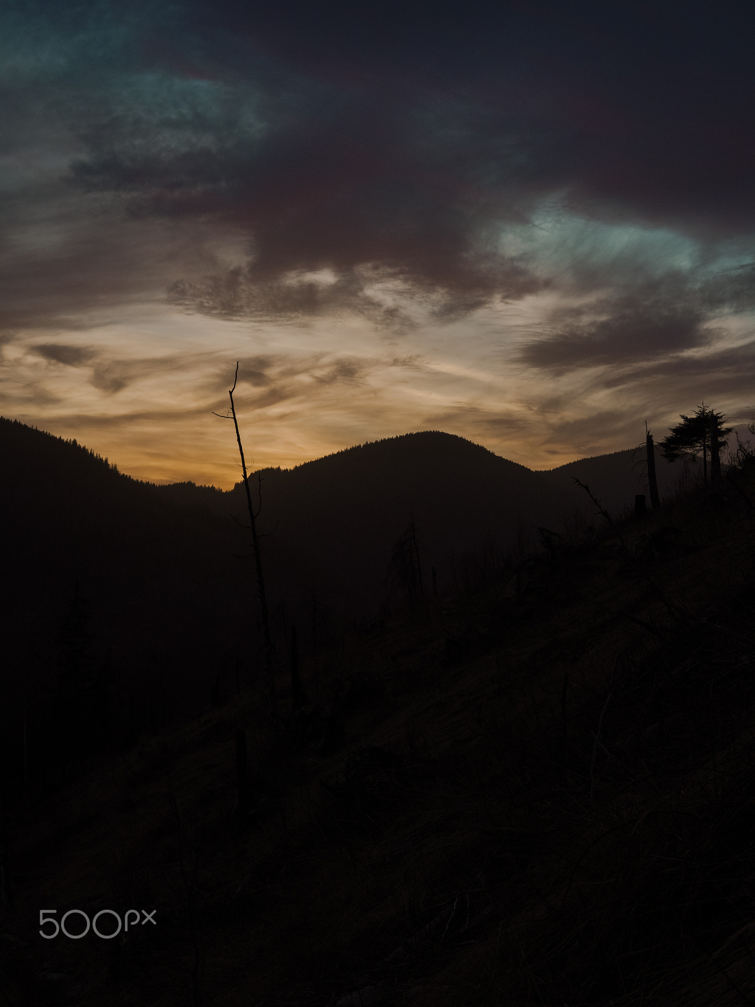 sunrise in the carpathian mountains