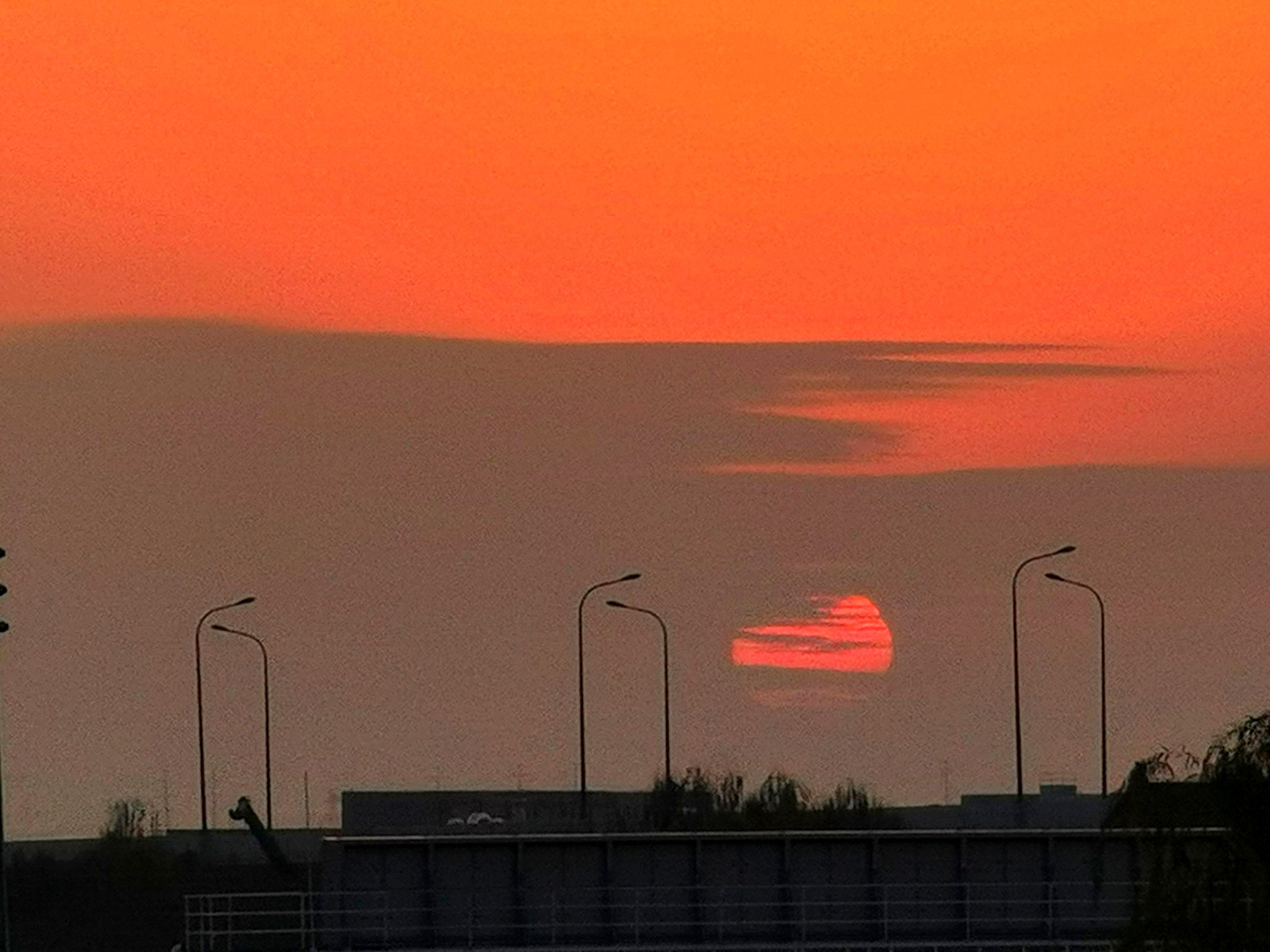 《夕阳红》