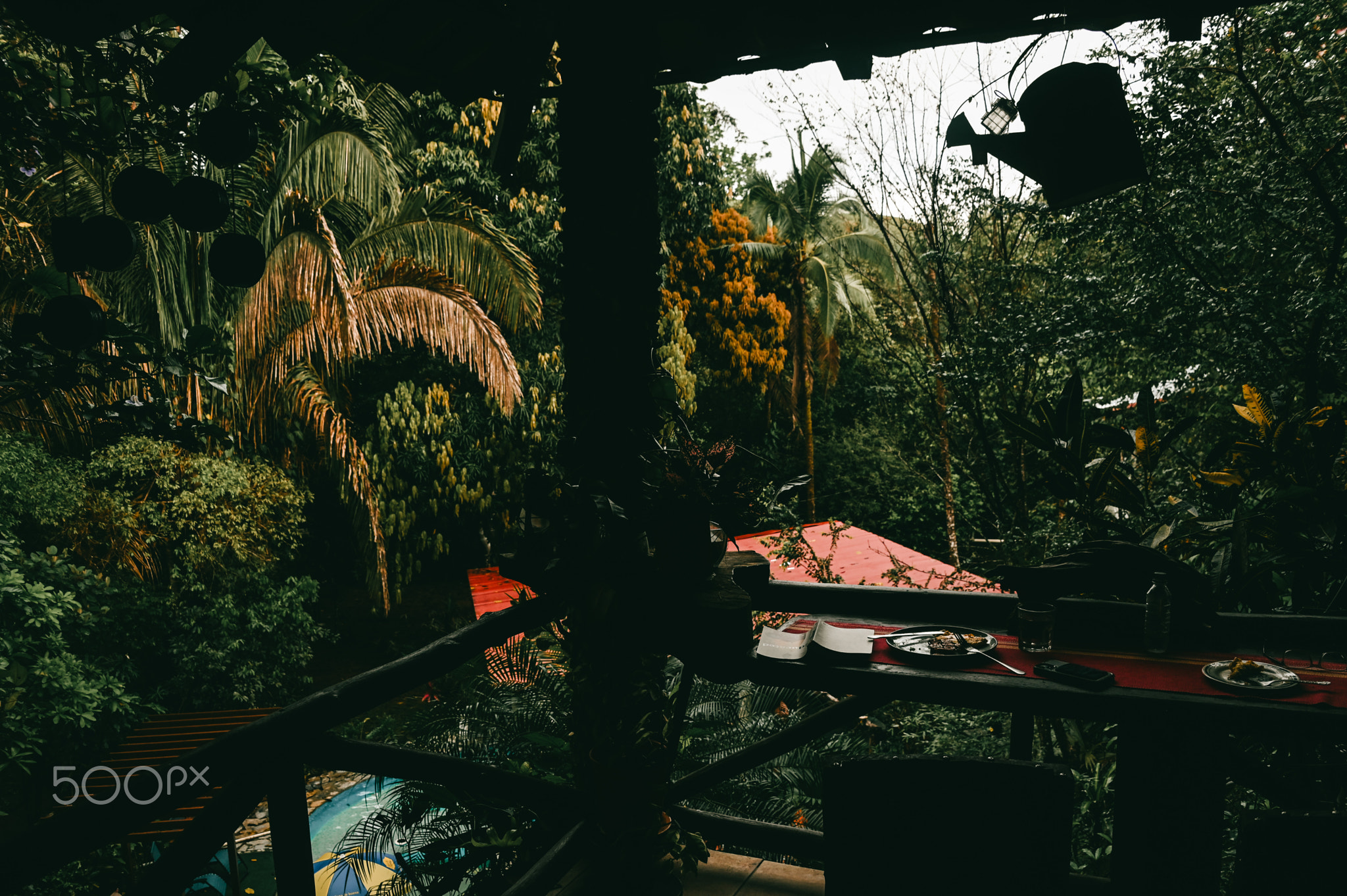 Outdoor Dining Area Overlooking Lush Tropical Rainforest and Vibrant Foliage