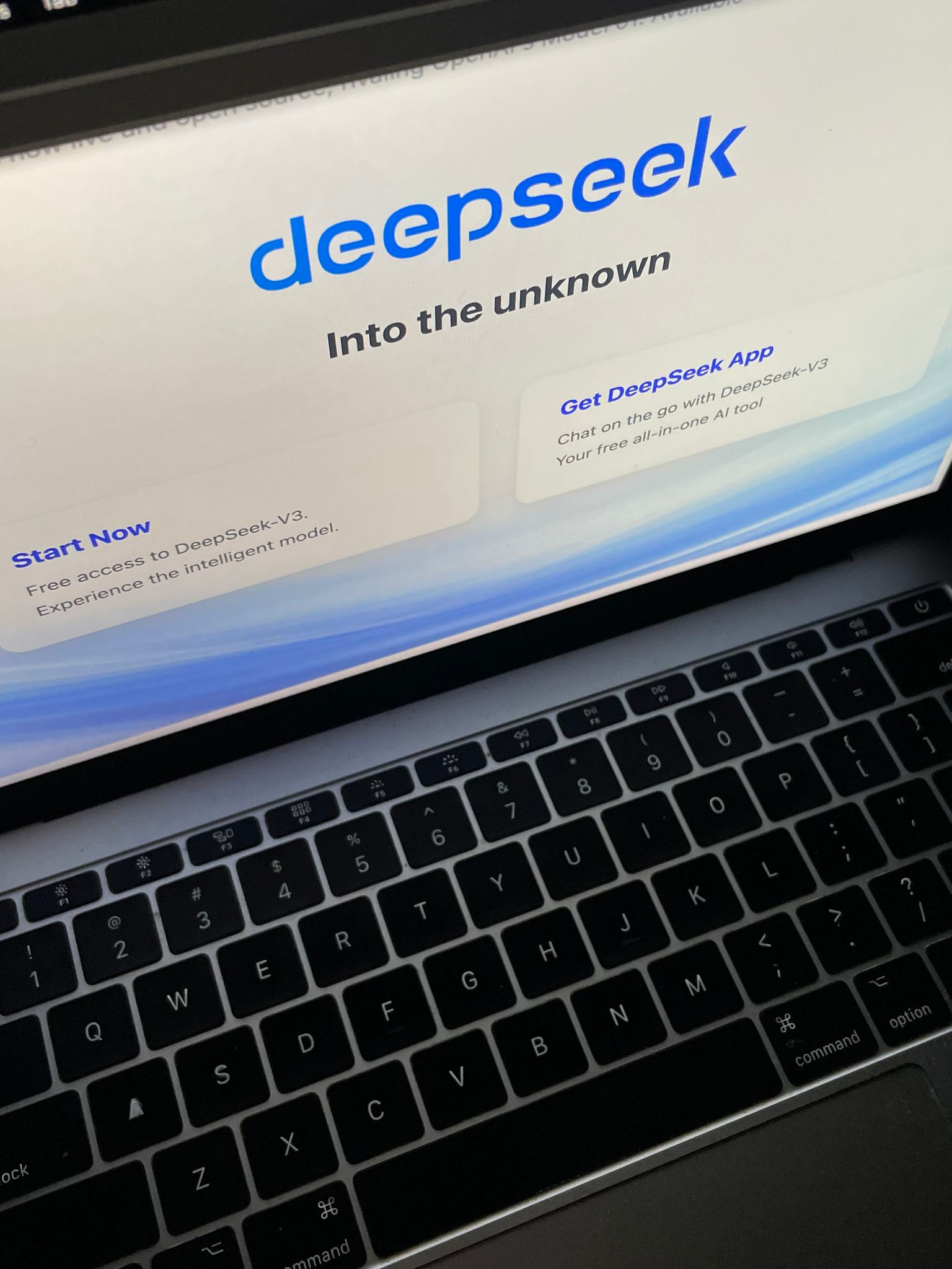 DeepSeek