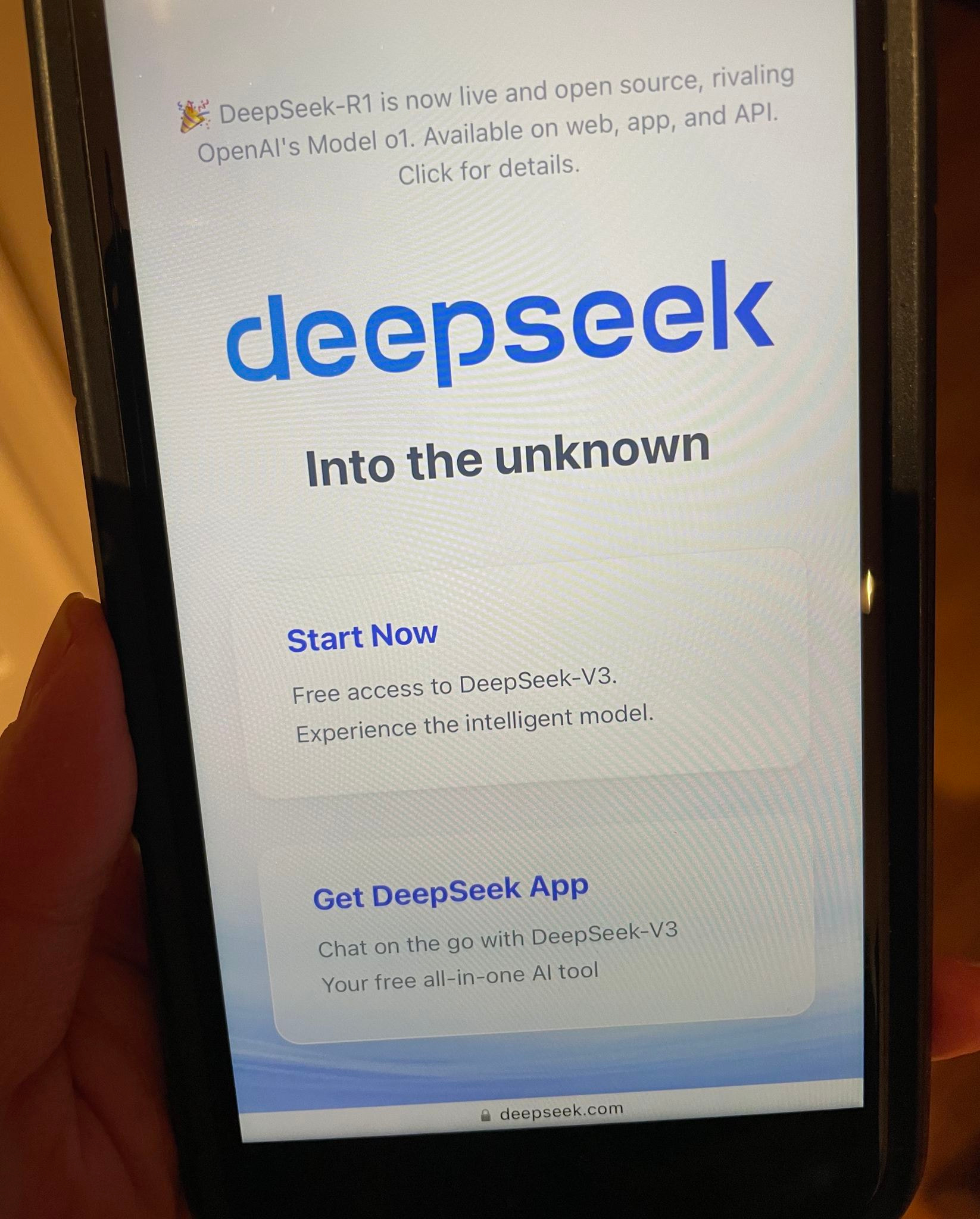 DeepSeek