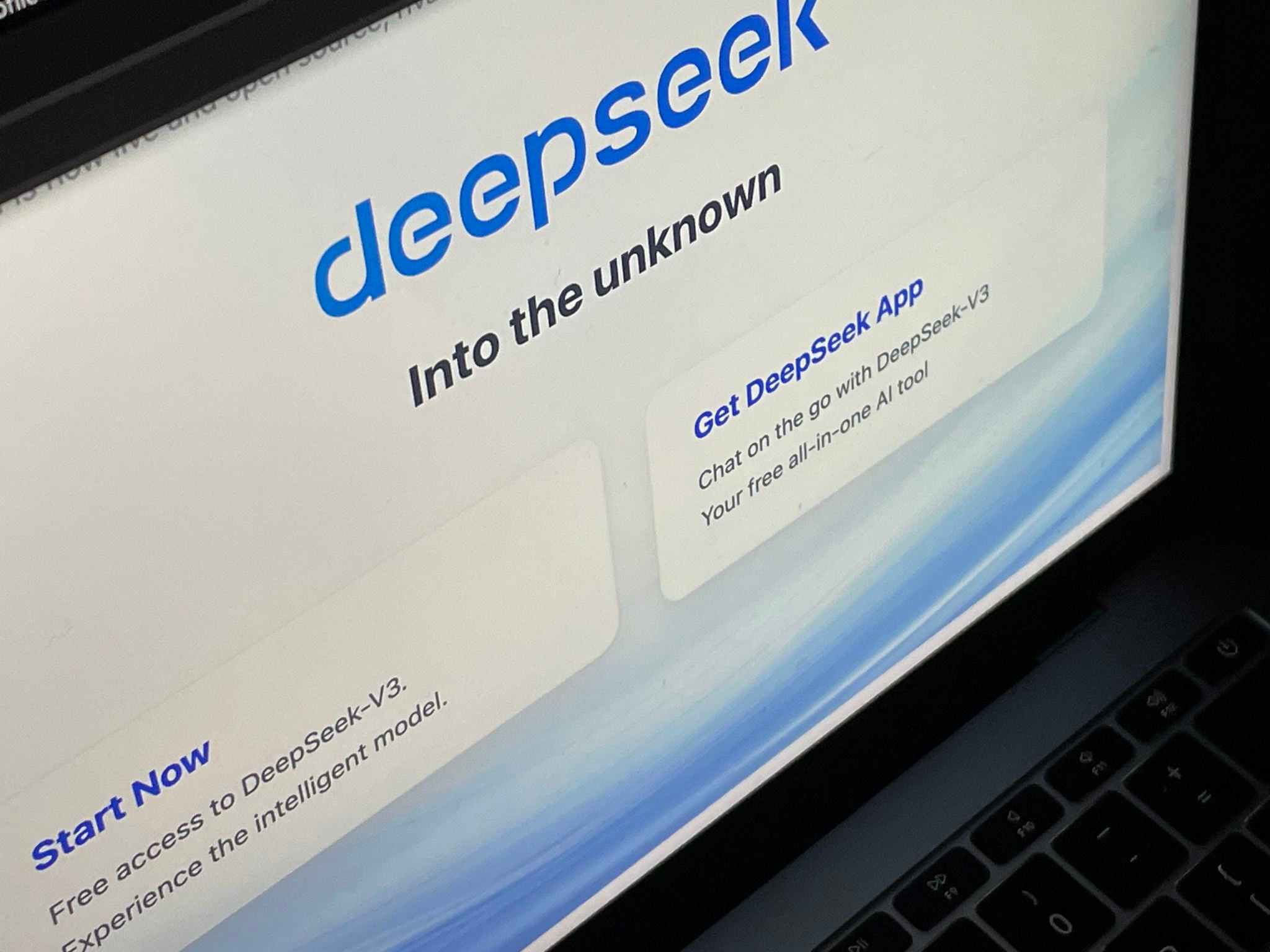 DeepSeek