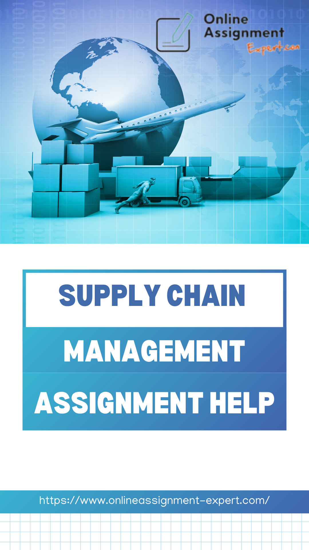 Expert Solutions for Complex Supply Chain Assignments