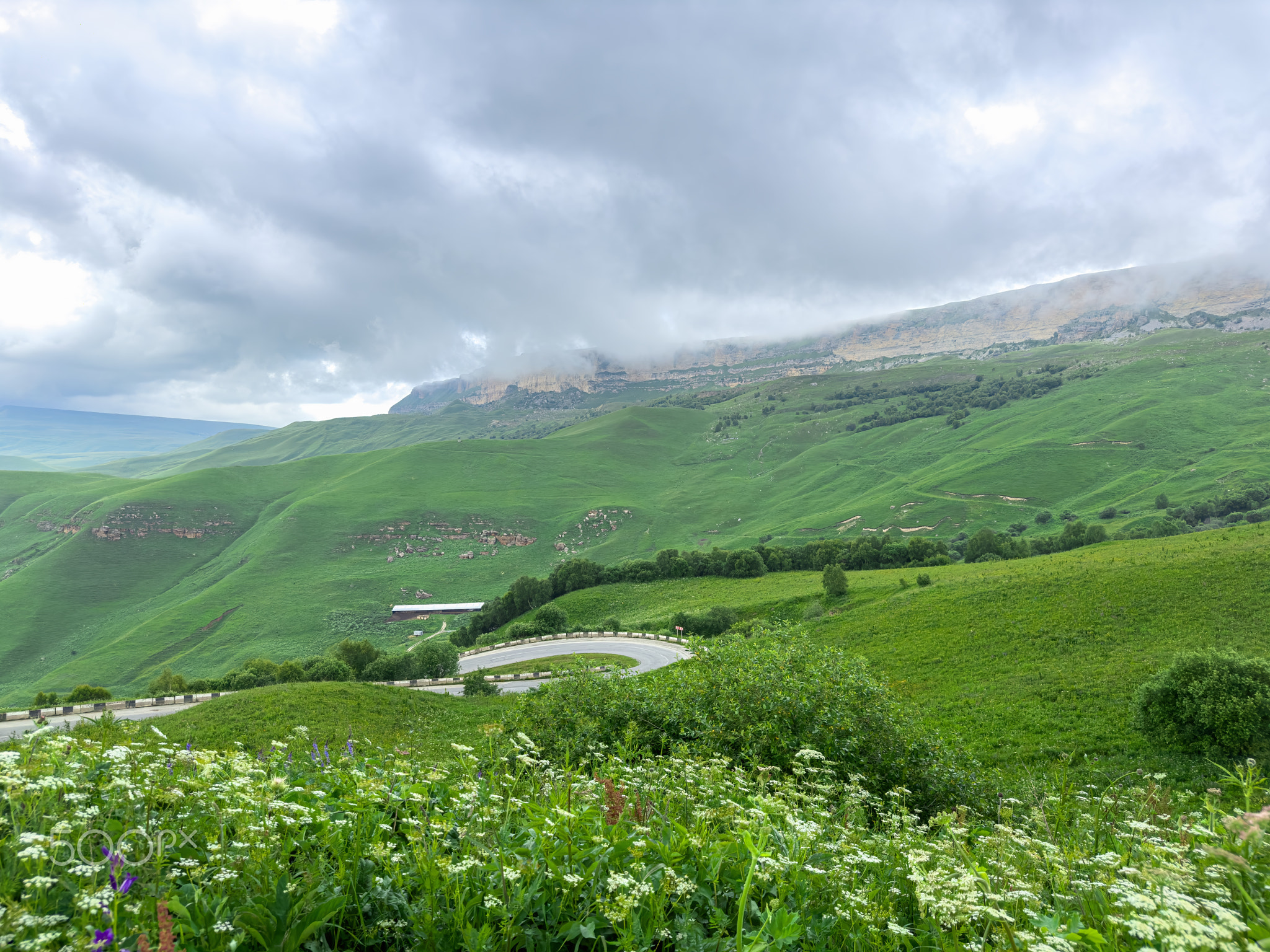 Rolling Green Hills Under a Cloudy Sky in a Mountainous Region. Generative AI