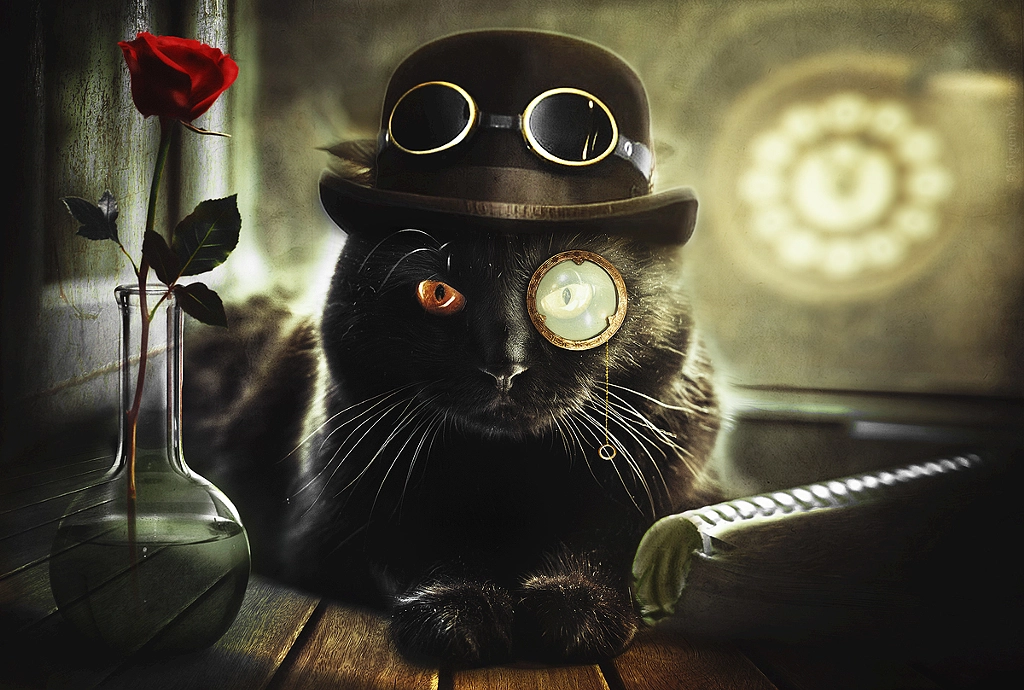 Steamcat by Evgeny Morozov / 500px