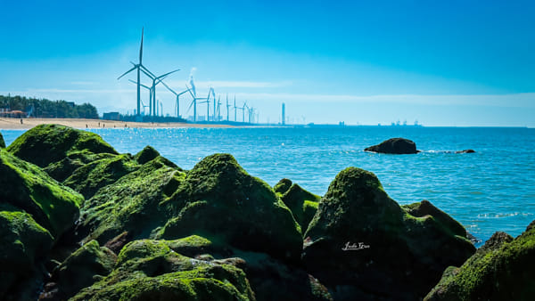 南方褶皱Live in the South Wind 朱宝蕾 中国 廃墟 写真集