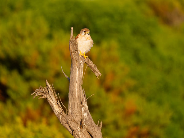 Mardiyet by Paul Amyes on 500px.com