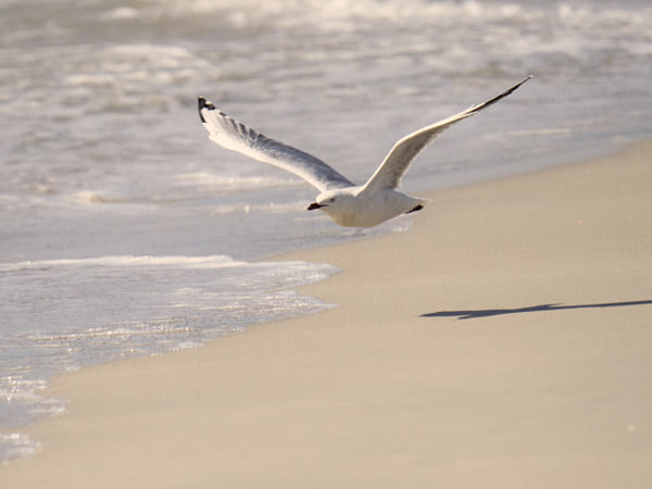 Djeringkara by Paul Amyes on 500px.com