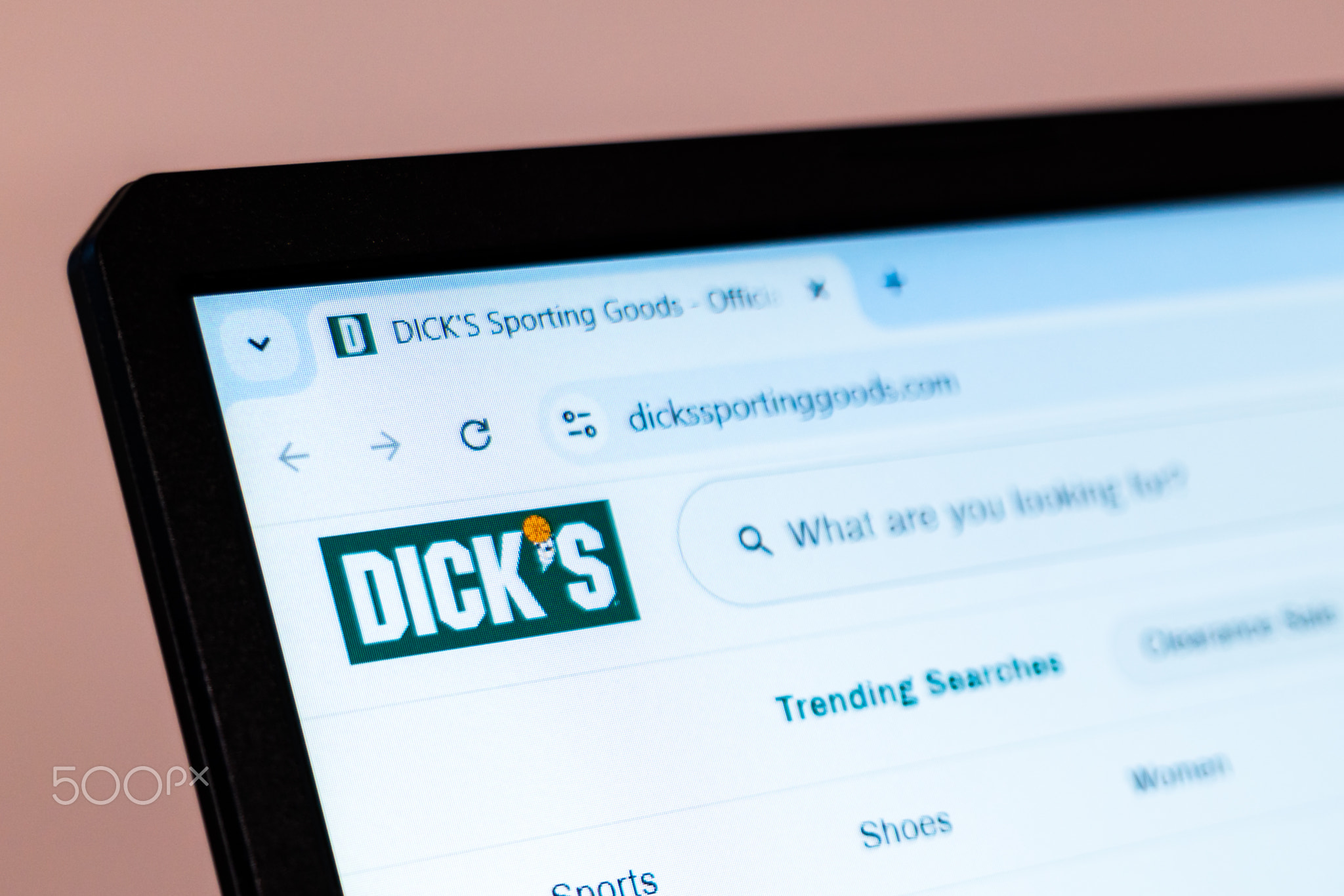 New York, USA - January 01, 2025: Dicks Sporting Goods website