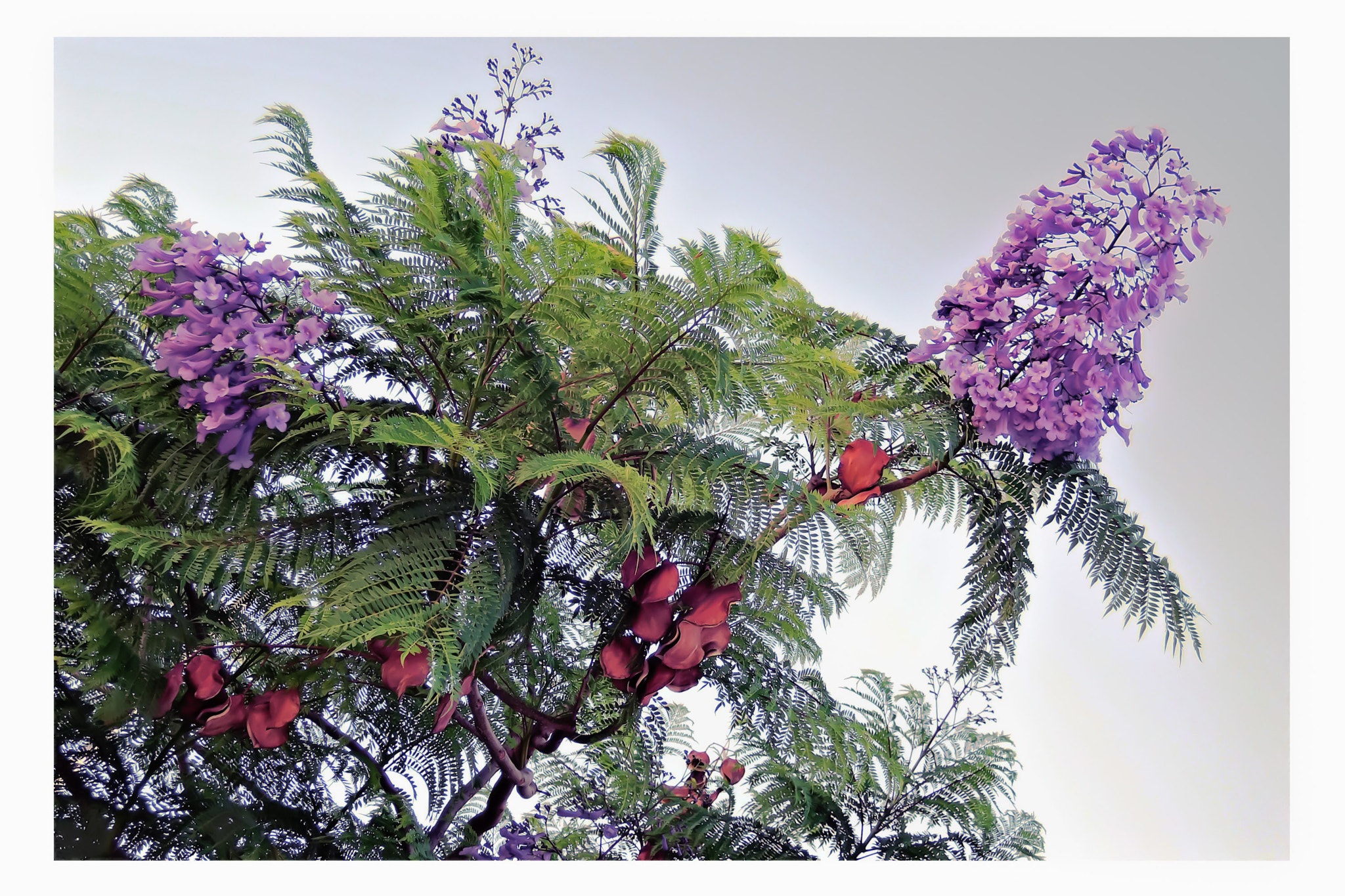 v2?sig=272bbaee4a19ca752b3945cbcd1c87c4557ede1fb5ce7587821501106a8600bf