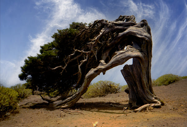 Sabina. (Color desde B&W) by Julio González Delgado | 500px