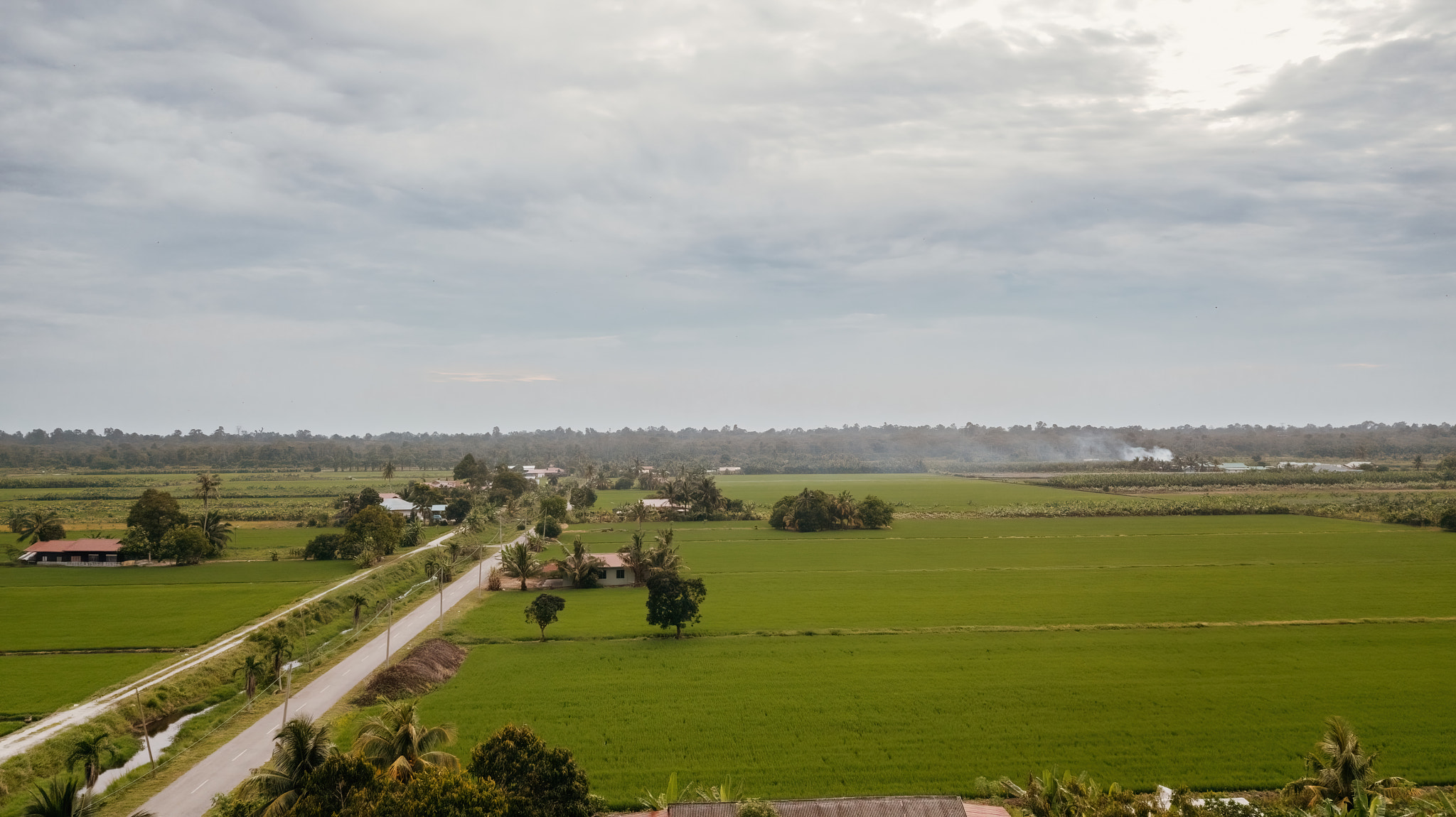 Aerial view of villages surrounded by the green paddy fields.