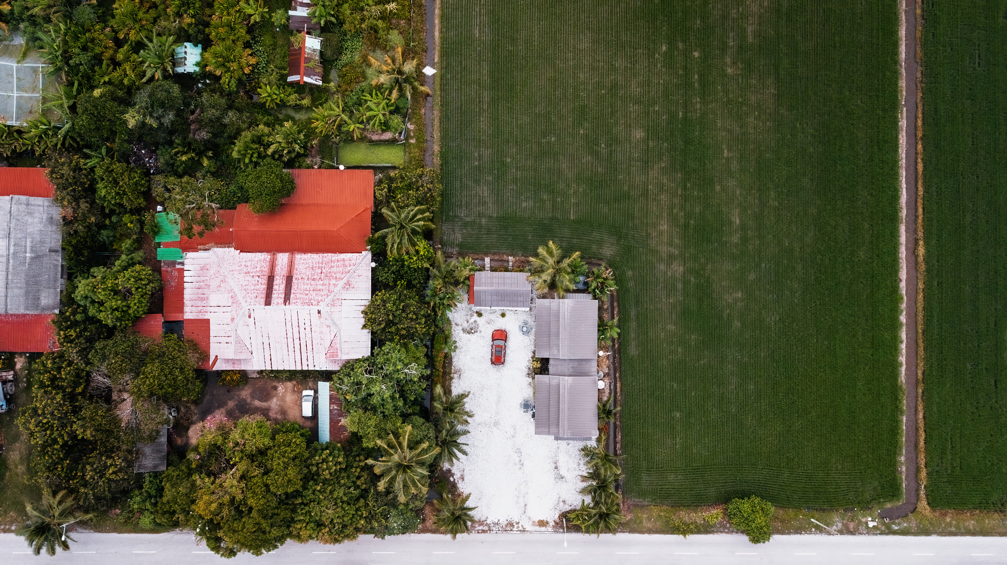 Overhead view of village houses with a red car parking surrounded by paddy fields in Sekinchan, Mala