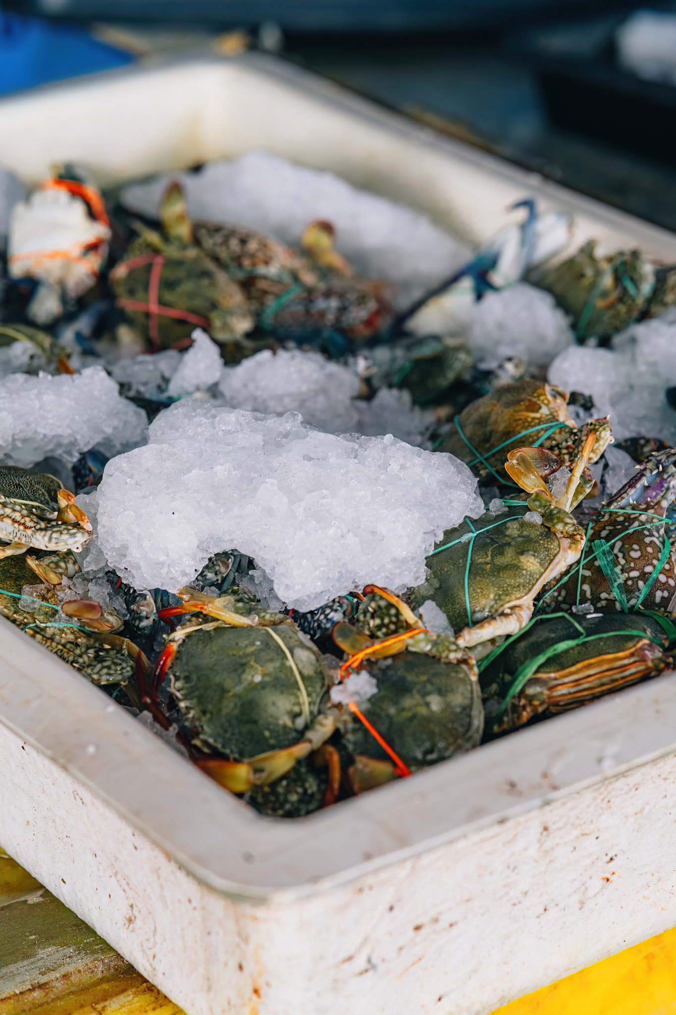 Fresh crabs with ice in a box at the market.