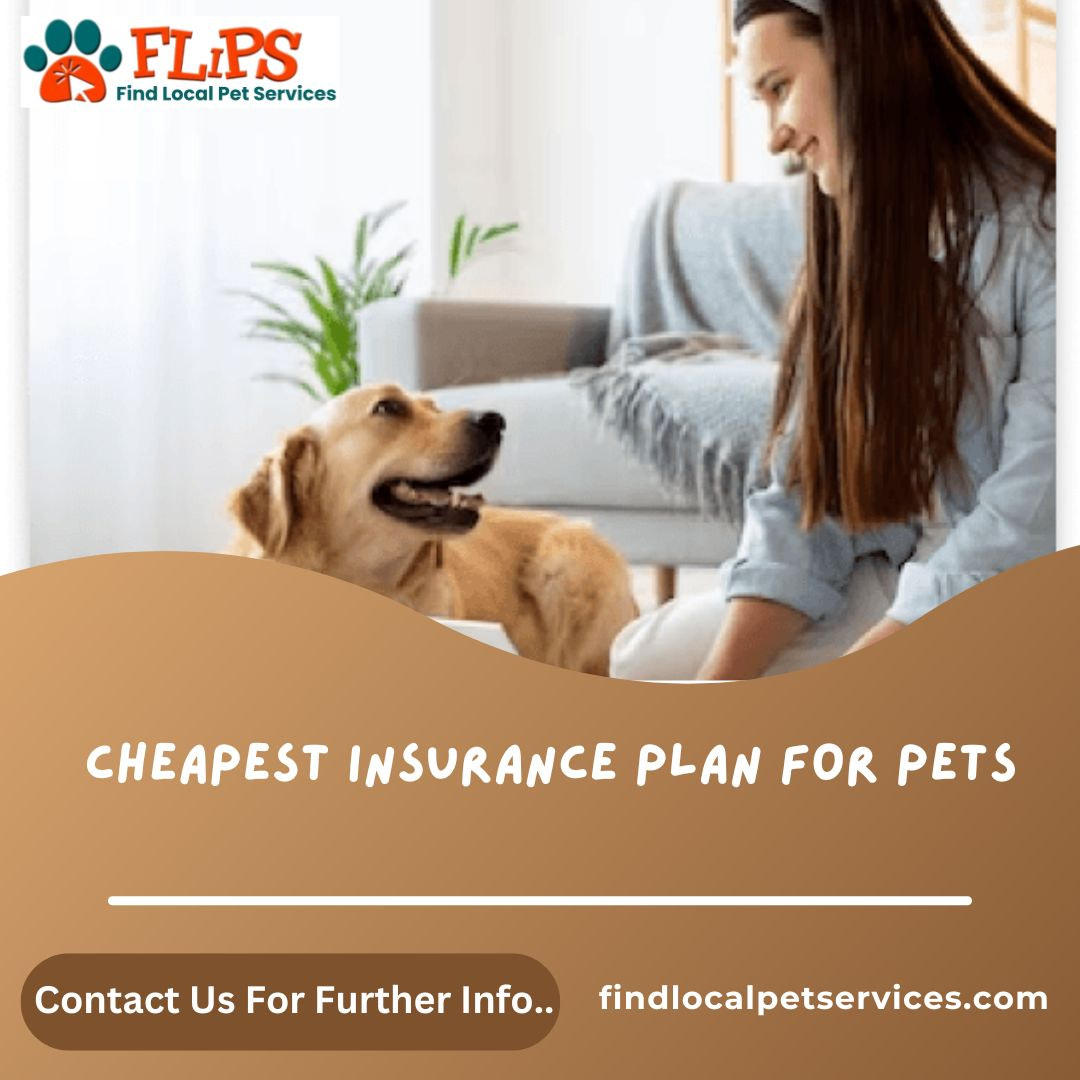 Cheapest Insurance Plan For Pets