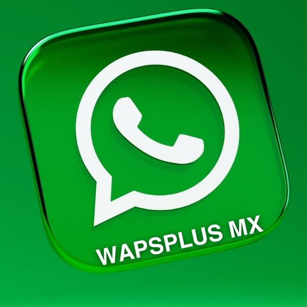 Wasplus