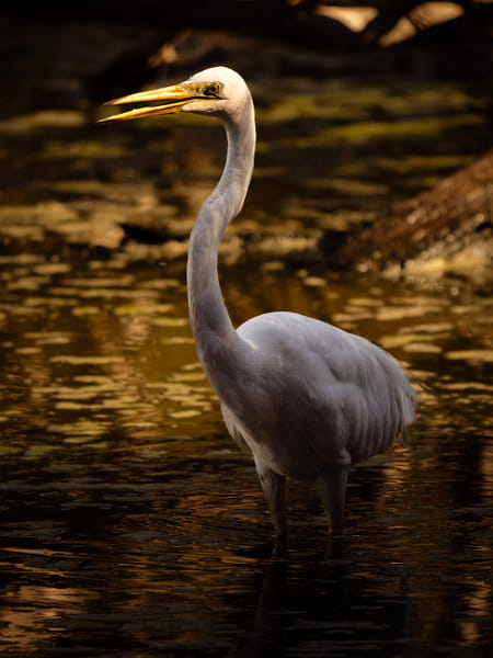 Bulland by Paul Amyes on 500px.com