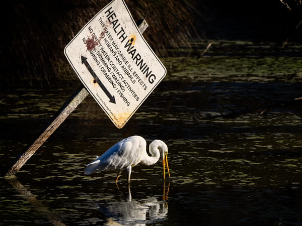 Bulland by Paul Amyes on 500px.com