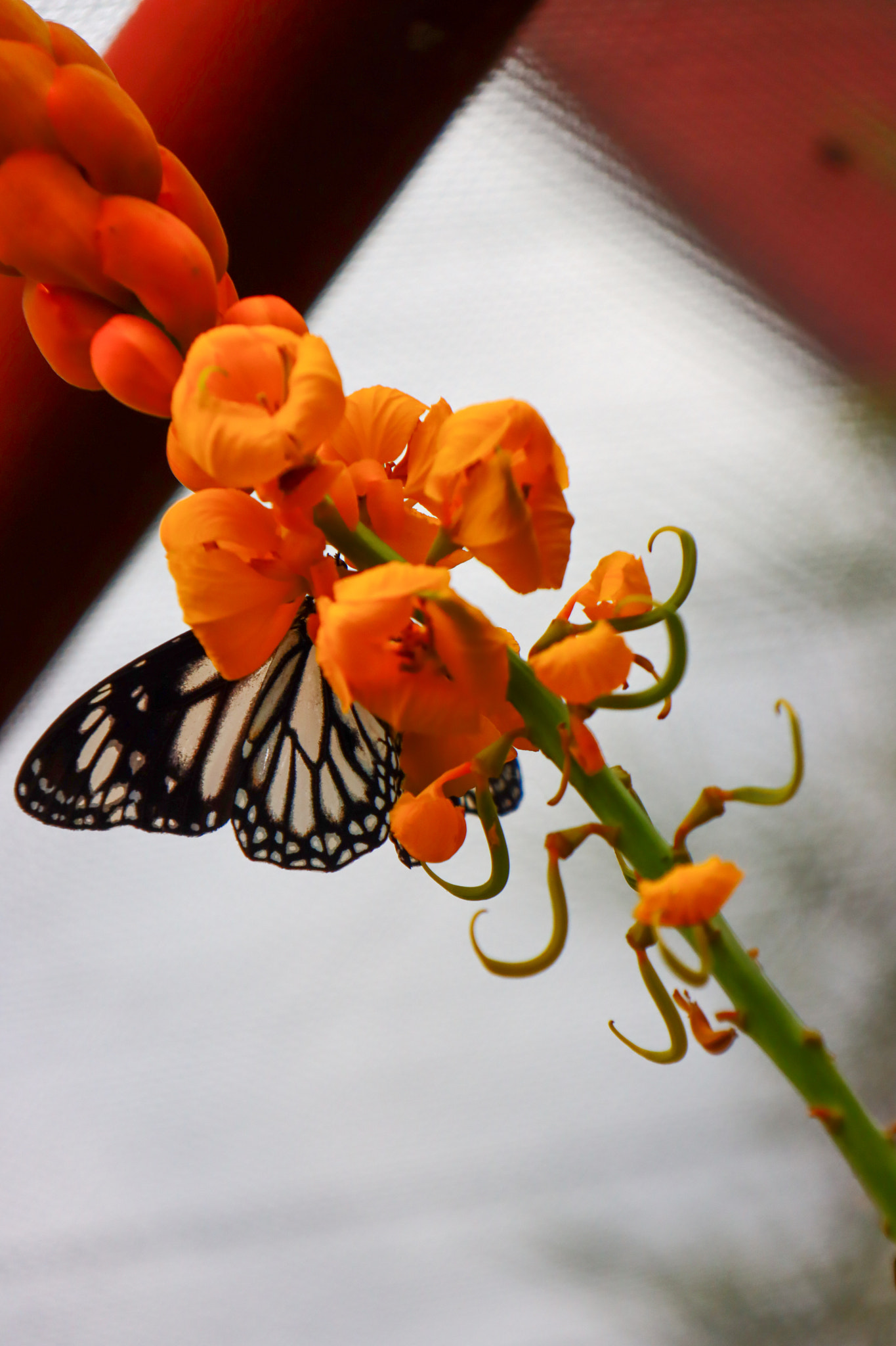 Scenes of Philippines