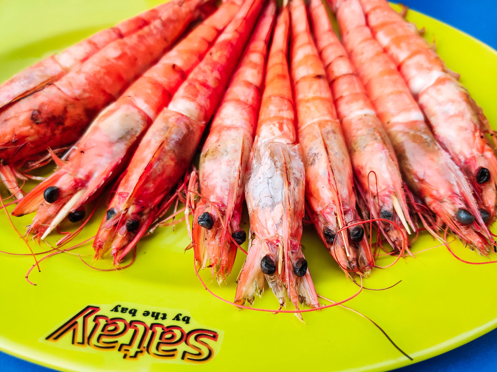 Scenes of Southeast Asia