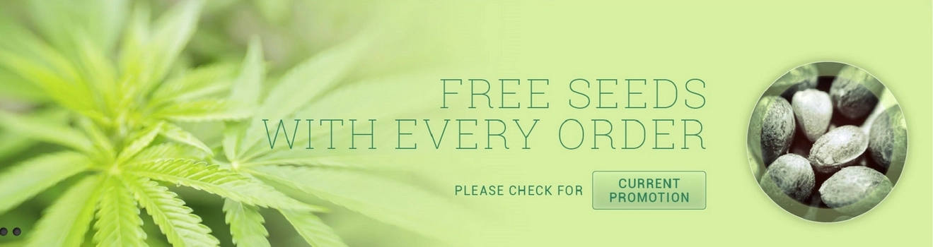 v2?sig=d9369d4729be2c7ca08f775e007ff2ec483d998b95760dcab7c3d2e65e9c8a32