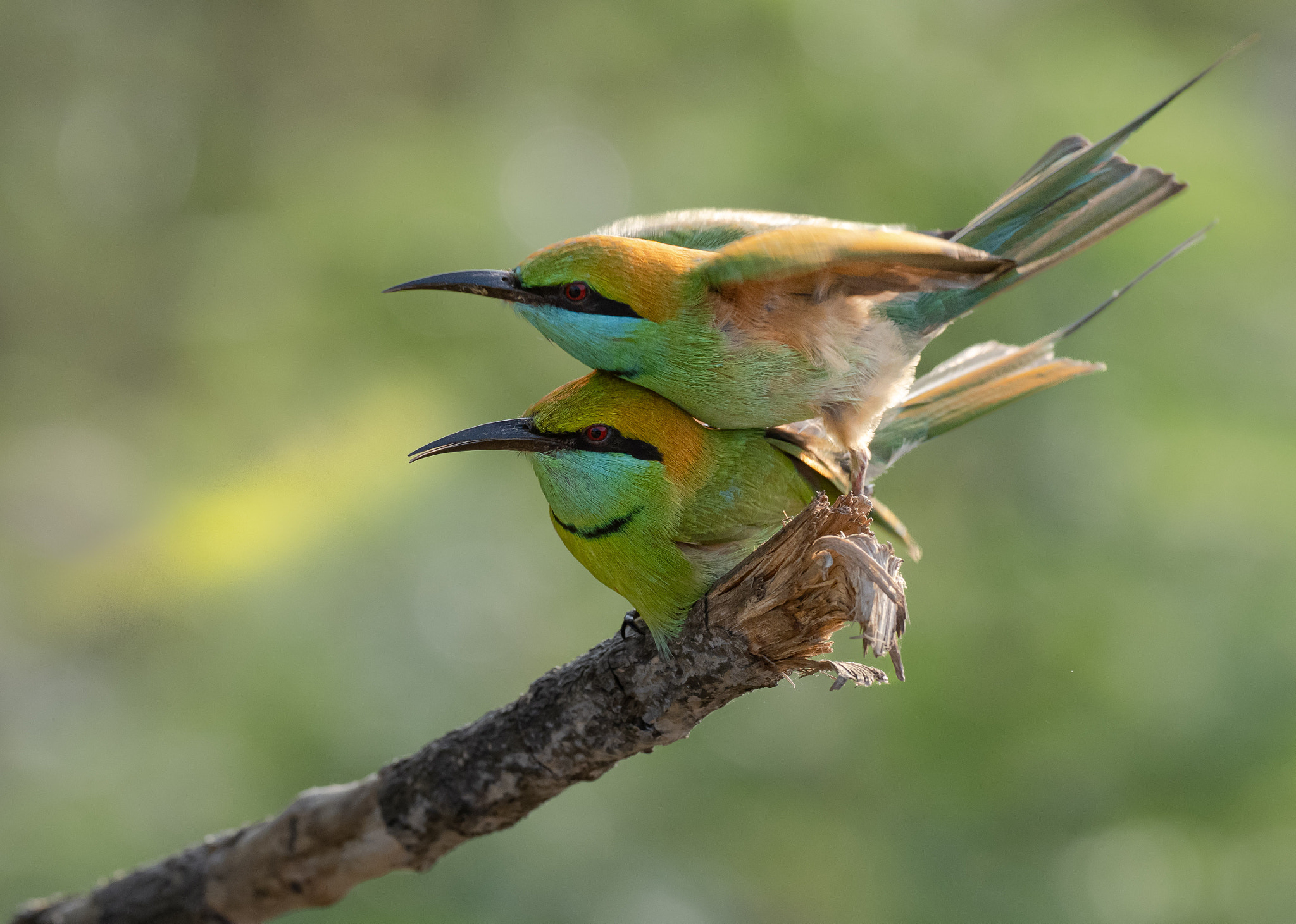 v2?sig=2d2a8fa3ee7c3d41634ad0467265a795579d65e9a1b0fae65062c0577c068dd4