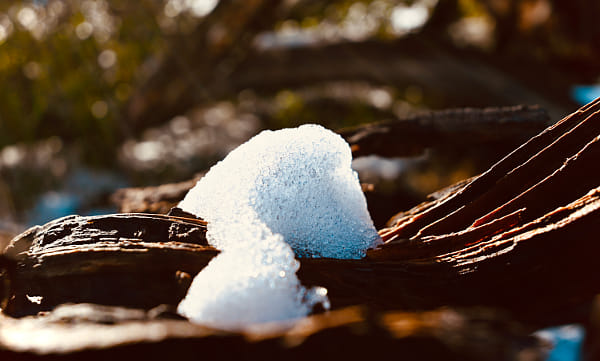 Snow - Cuyamaca Rancho State Park by Aneesh Sathe on 500px.com