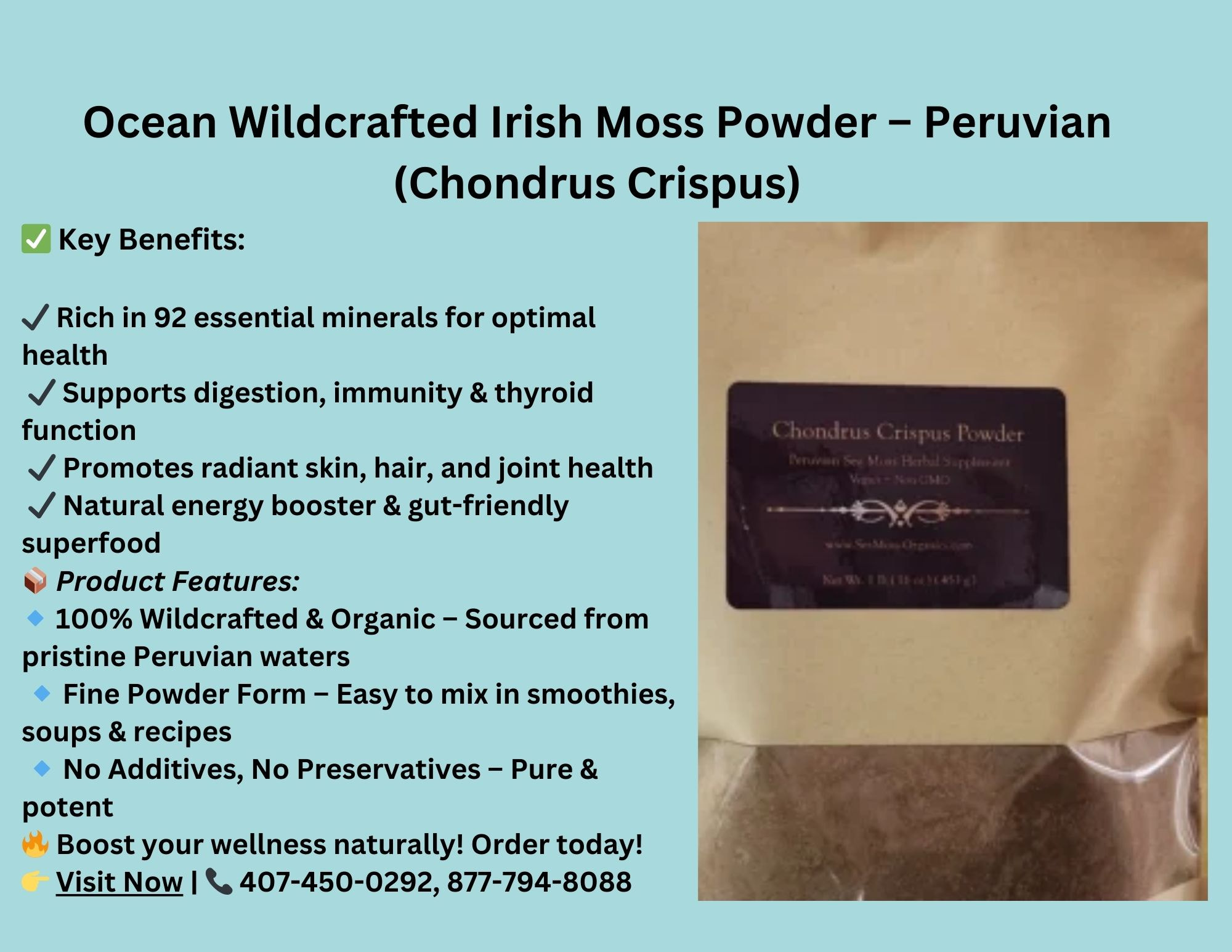 Ocean Wildcrafted Irish Moss Powder – Peruvian (Chondrus Crispus)