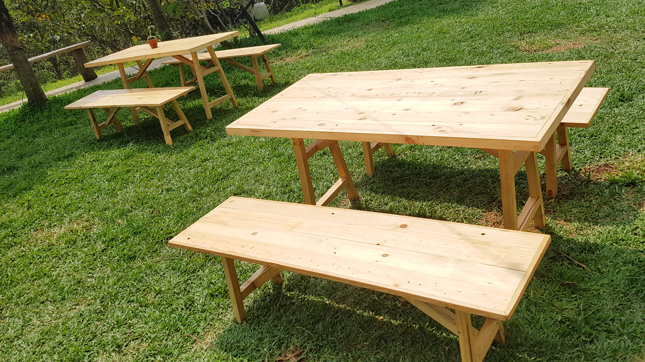 An outdoor garden or backyard setting with arranged wooden chairs, shady trees, lush green grass