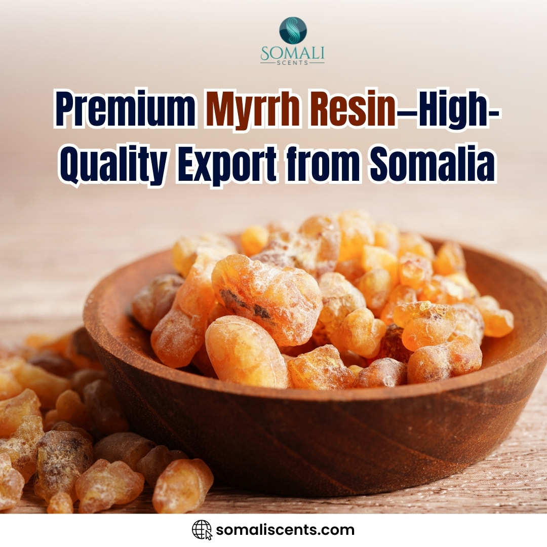 v2?sig=fd099083035eacec9212ba72af95a191e0ab0bbdbc8cdf4be16babd0a7750212