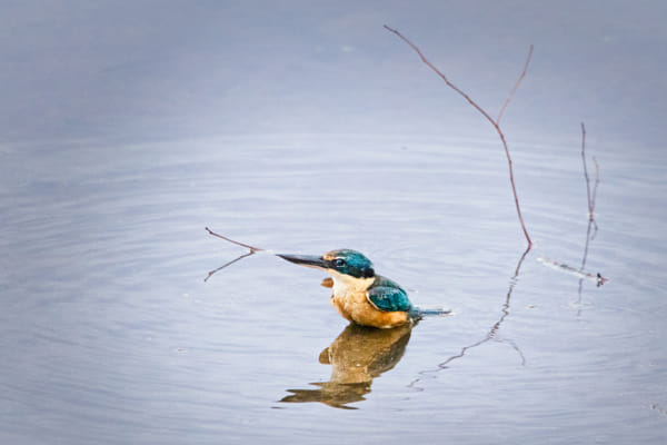  Kanyinak by Paul Amyes on 500px.com