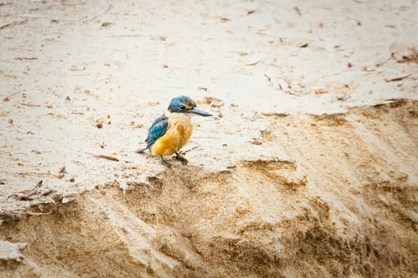  Kanyinak by Paul Amyes on 500px.com
