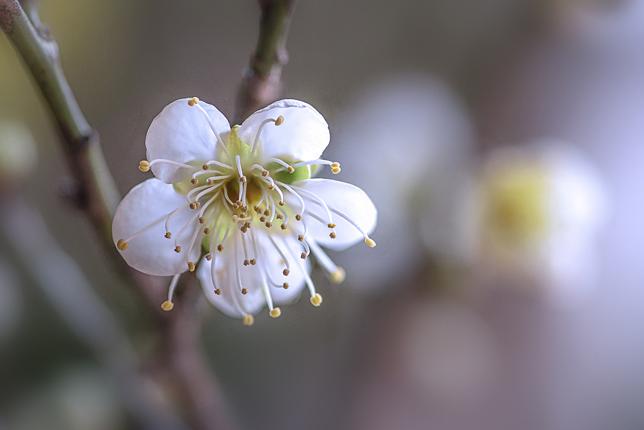 v2?sig=ad1ffab877bda60720d0f2c8984461c081903e8d2f277d7686cb4cf86db97fd5