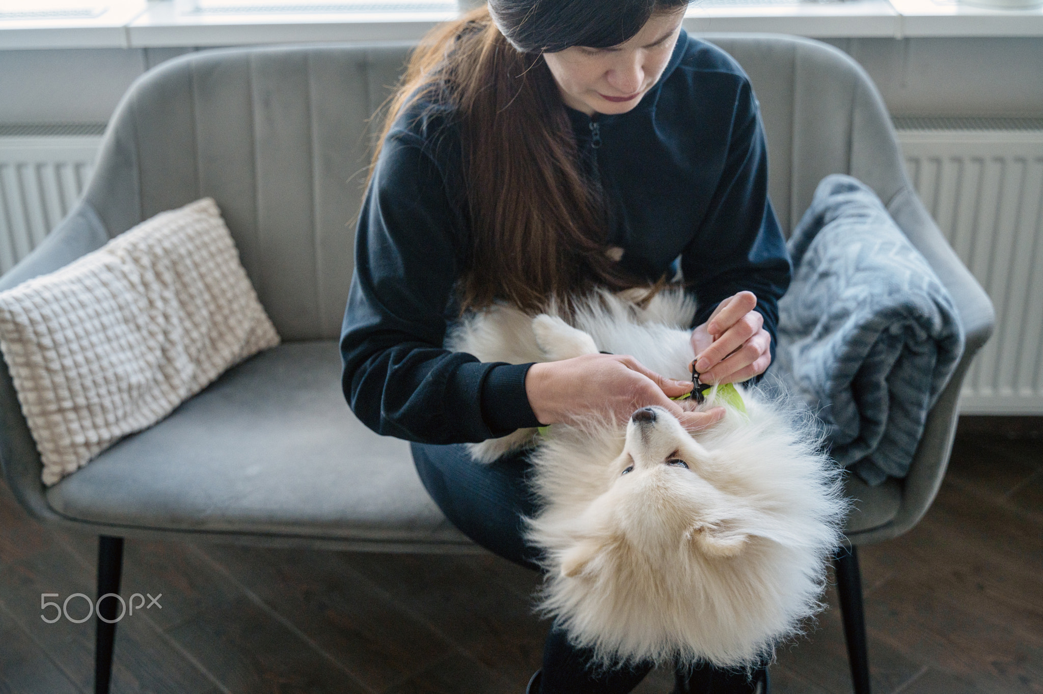 The girl is sitting on the sofa and dressing her dog