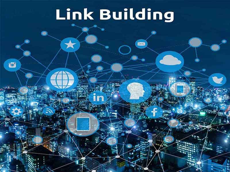 Link Building professional seo expert md jamil hosain