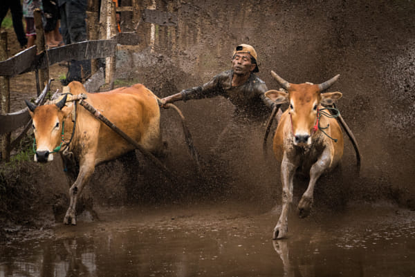 mud racer