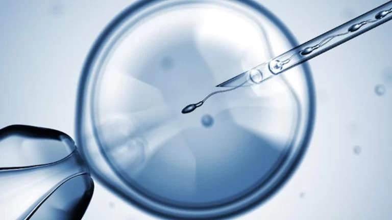 Understanding IVF How In Vitro Fertilization Works