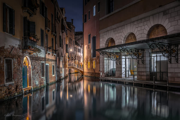 Fenice